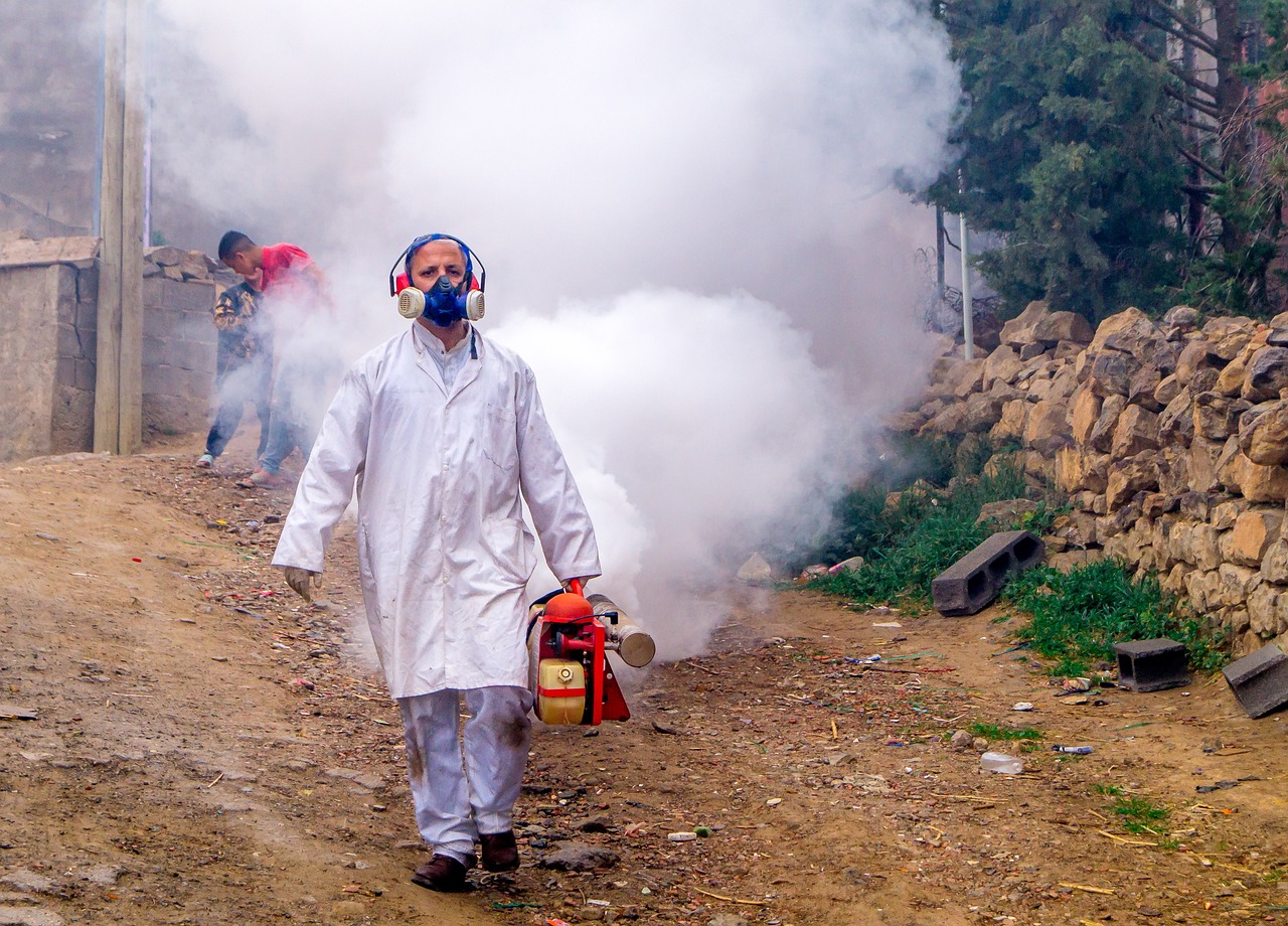 Nowoczesne metody zwalczania szkodników w domu